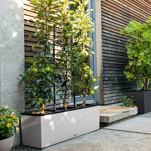 Lechuza Blumenkübel Trio & Bewertungen Wayfair.de